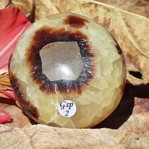 galet-septaria-madagascar-adelyne-enegercia-gsp2-2