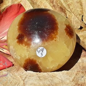 galet-septaria-madagascar-adelyne-enegercia-gsp3-1