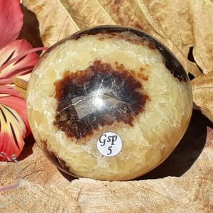 galet-septaria-madagascar-adelyne-enegercia-gsp5-3