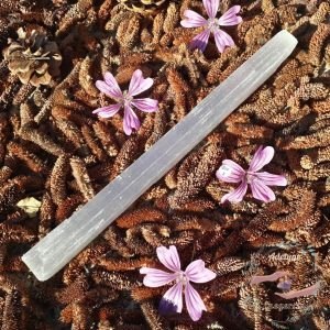 baton-selenite-brute-purification-gypse-fibreux-maroc-adelyne-enegercia-bse3-2