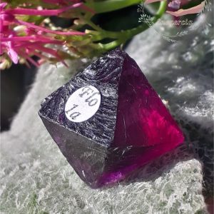 Octaedre-de-clivage-de-fluorite-violette-chine-adelyne-enegercia-flo-1a-4