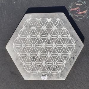 Fleur de vie gravée sur plaque hexagonale en Sélénite ( Gypse fibreux ), Hfb02