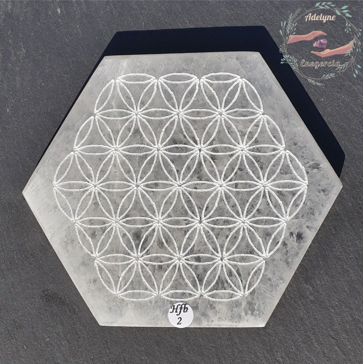 Fleur de vie gravée sur plaque hexagonale en Sélénite ( Gypse fibreux ), Hfb02