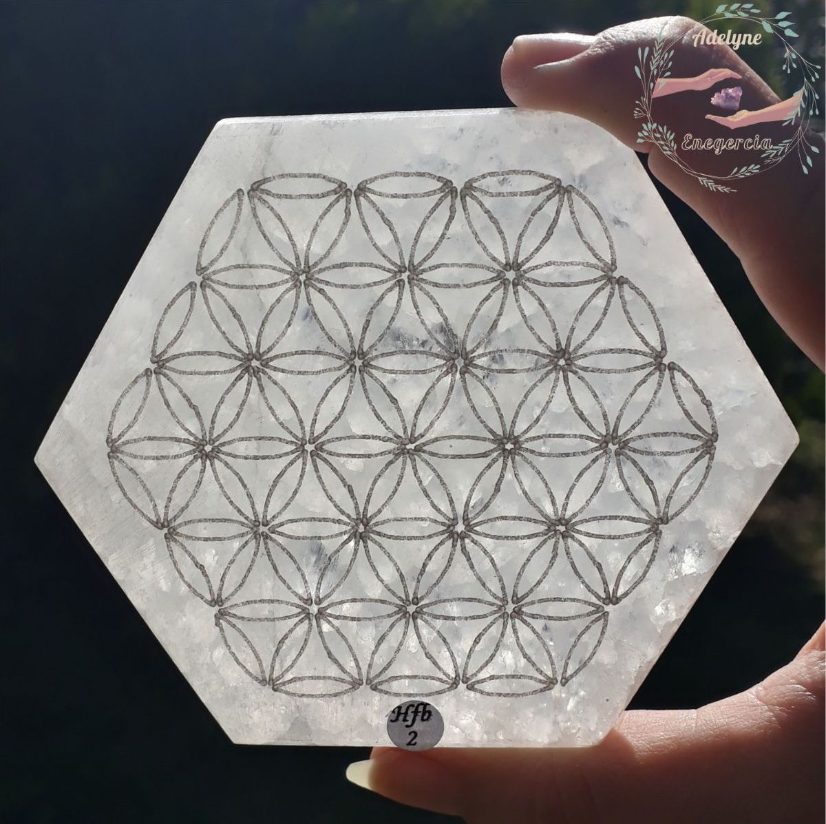 Fleur de vie gravée sur plaque hexagonale en Sélénite ( Gypse fibreux ), Hfb02 – Image 3