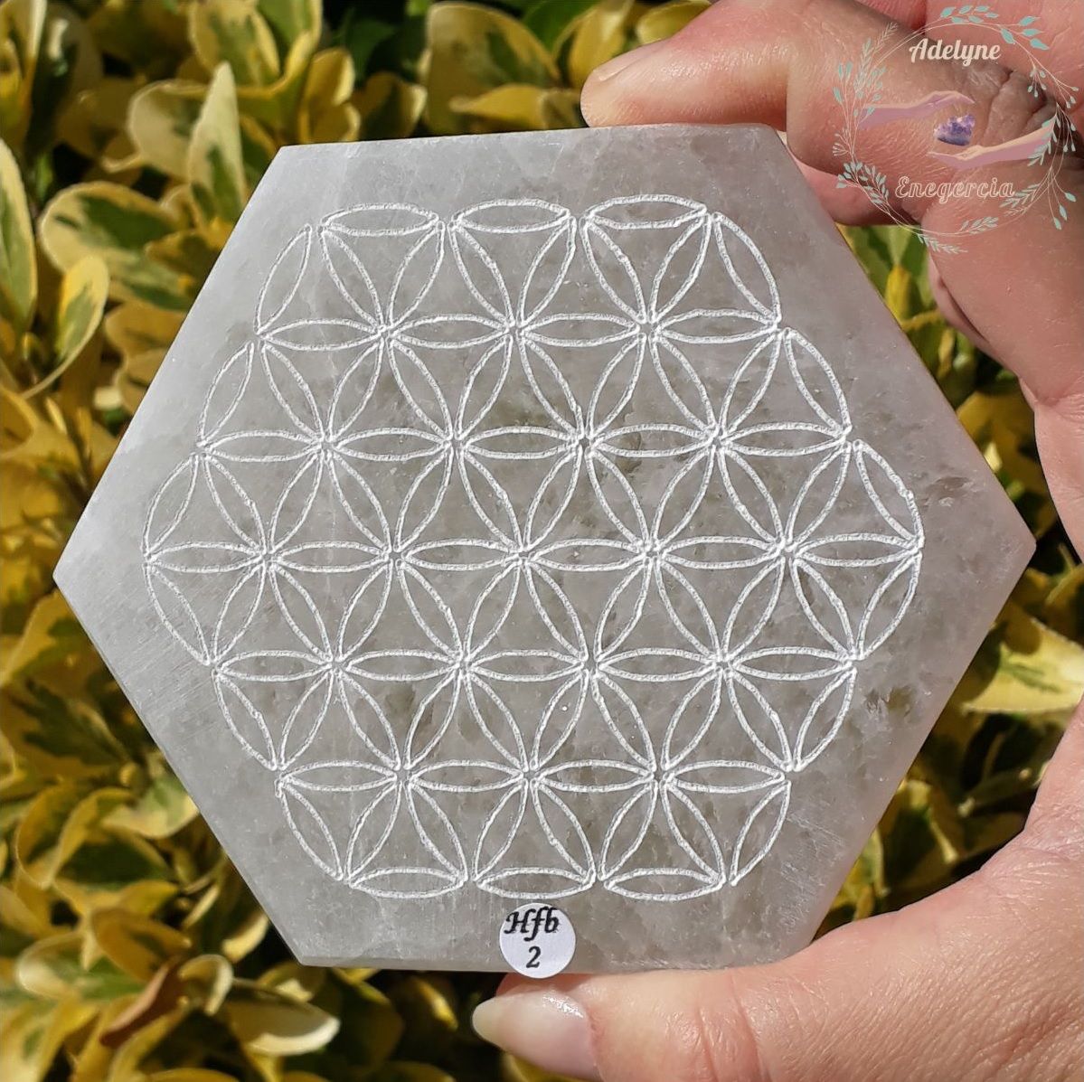 Fleur de vie gravée sur plaque hexagonale en Sélénite ( Gypse fibreux ), Hfb02 – Image 2