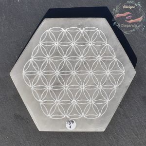 Fleur de vie gravée sur plaque hexagonale en Sélénite ( Gypse fibreux ), Hfb04