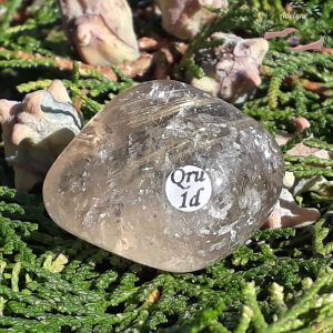 quartz rutile roulée brésil adelyne enegercia qru 1d 1