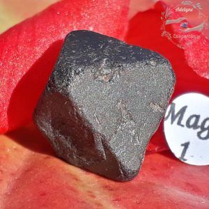 cristal octaèdre de Magnétite Brésil adelyne enegercia mag 01