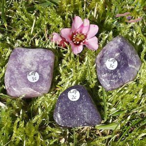 lépidolite roulée du Brésil Bahia adelyne-enegercia 1 à 3c 1