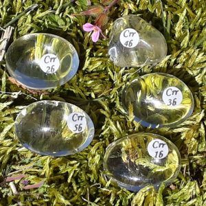 Cristal de roche roulée du Brésil adelyne-enegercia crr 1 a 5b